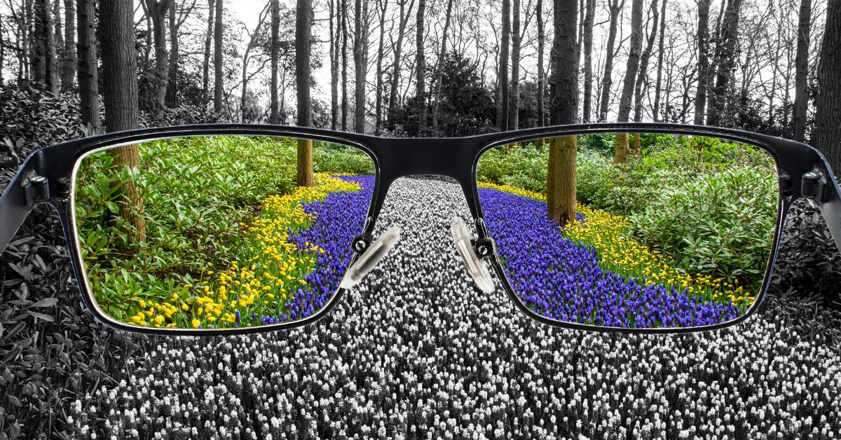 Color Blindness Explained: Types, Tests and Everyday Impacts featured image